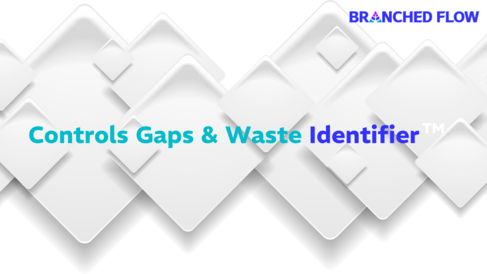 cyber-fraud controls gaps and waste identifier